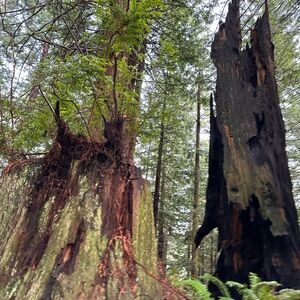 Meet your Posher, Margo